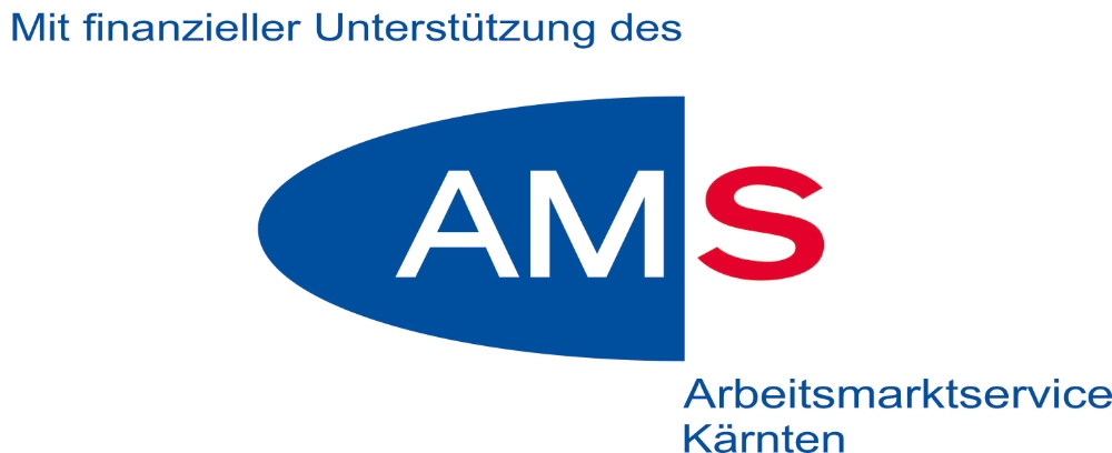 Mit finanzieller Unterstützung des AMS -Logo